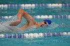 Swim vs Bentley  Wheaton College Swimming & Diving vs Bentley University. - Photo by Keith Nordstrom : Wheaton, Swimming & Diving